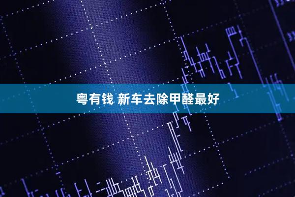 粤有钱 新车去除甲醛最好