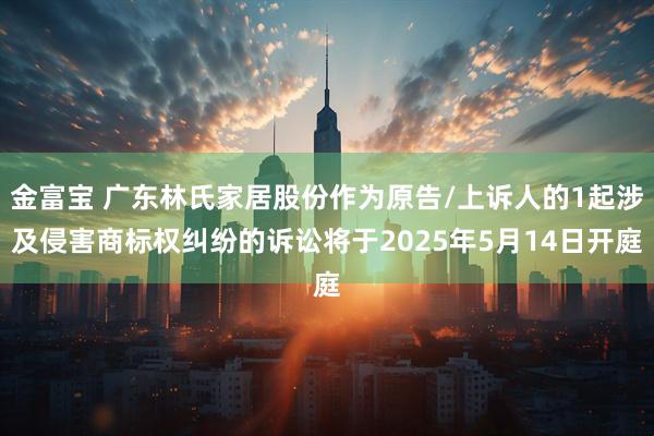 金富宝 广东林氏家居股份作为原告/上诉人的1起涉及侵害商标权纠纷的诉讼将于2025年5月14日开庭