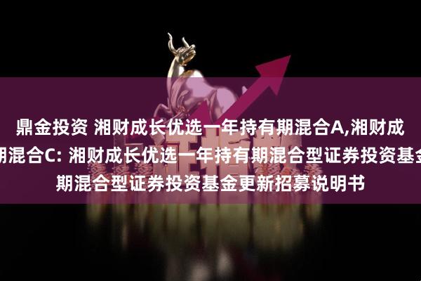 鼎金投资 湘财成长优选一年持有期混合A,湘财成长优选一年持有期混合C: 湘财成长优选一年持有期混合型证券投资基金更新招募说明书