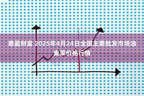 惠盈财富 2025年4月24日全国主要批发市场油麦菜价格行情