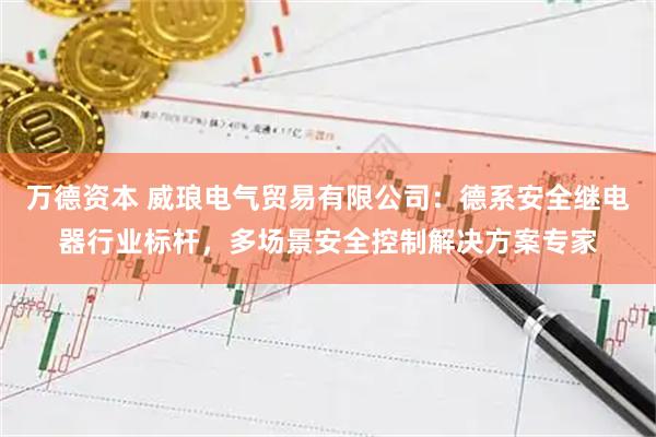 万德资本 威琅电气贸易有限公司：德系安全继电器行业标杆，多场景安全控制解决方案专家