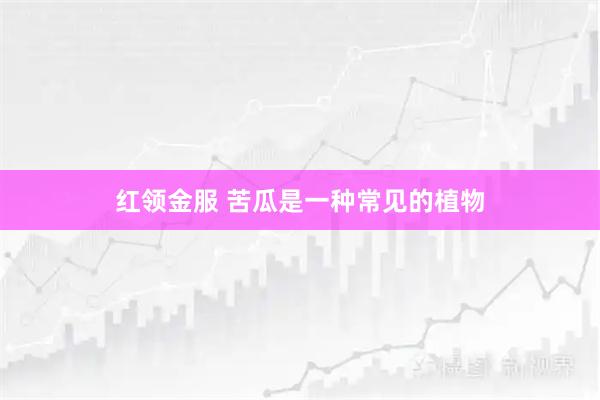 红领金服 苦瓜是一种常见的植物