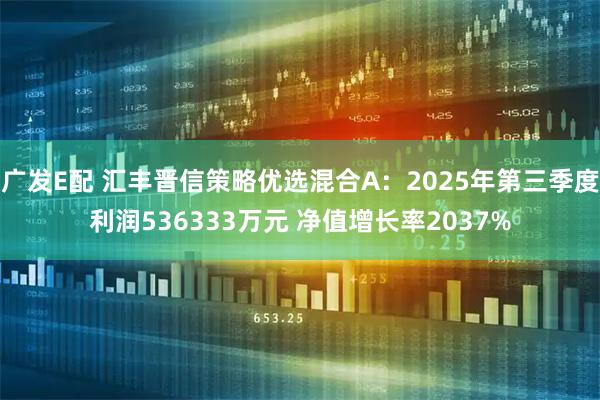 广发E配 汇丰晋信策略优选混合A：2025年第三季度利润536333万元 净值增长率2037%